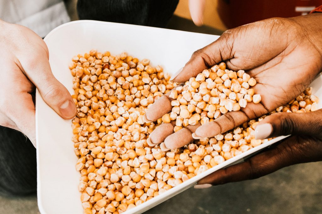 hand reaching into seed corn