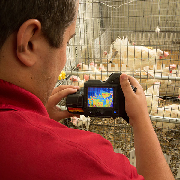 student imaging chicken production