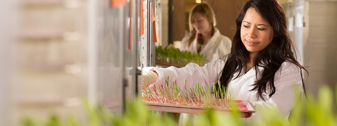 students working with seedlings in laboratory setting