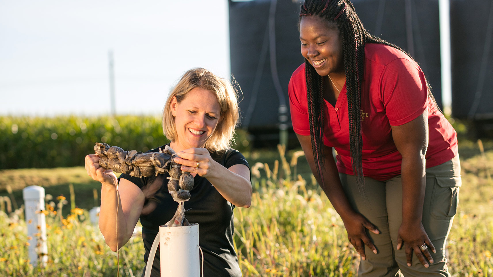 student and professor check water quality in the field