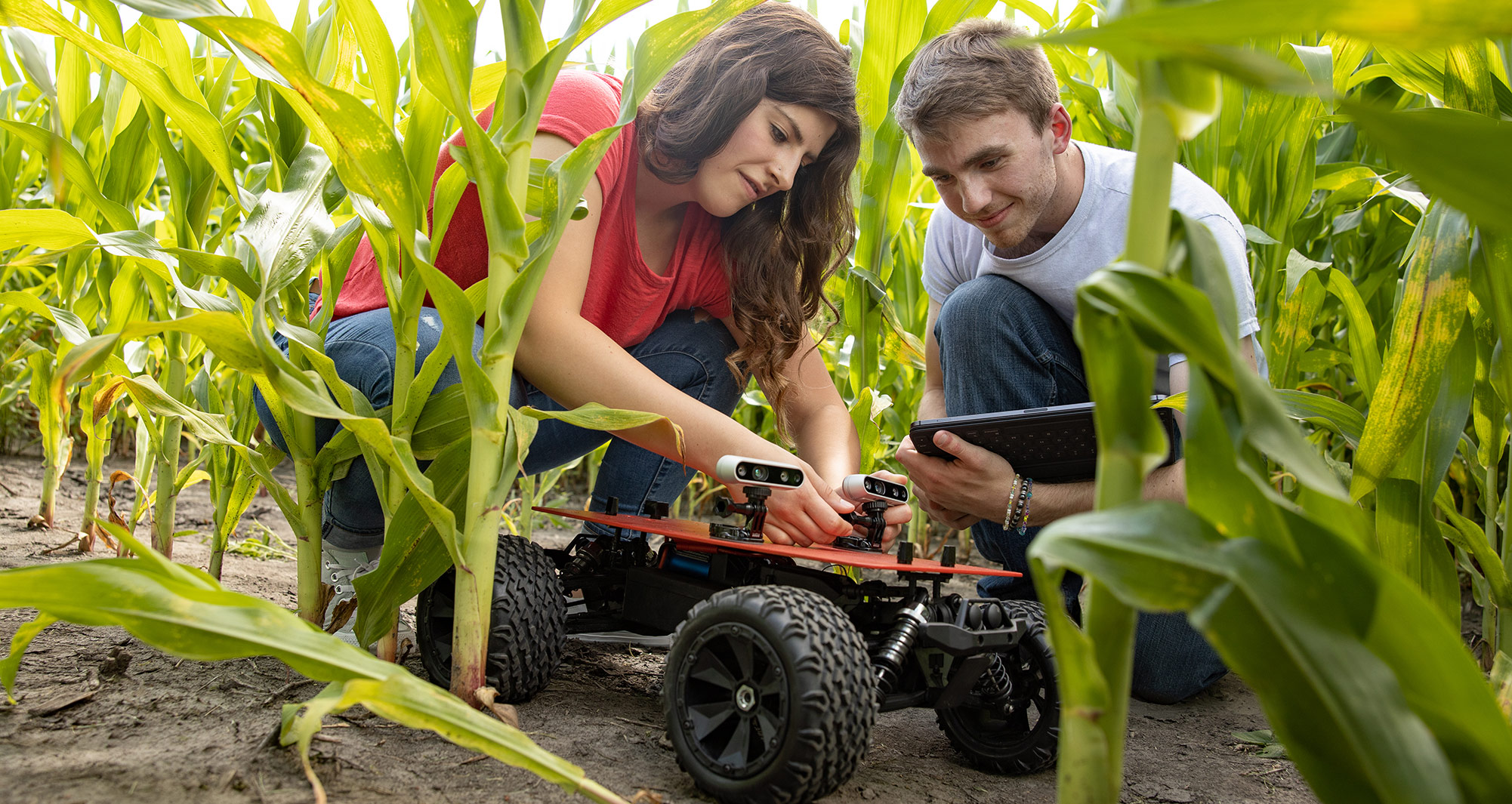 students working with robot in cornfield